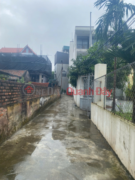 BEAUTIFUL CORNER LOT FOR SALE IN DONG DU - GIA LAM, PRICE ONLY 3.X BILLION Sales Listings