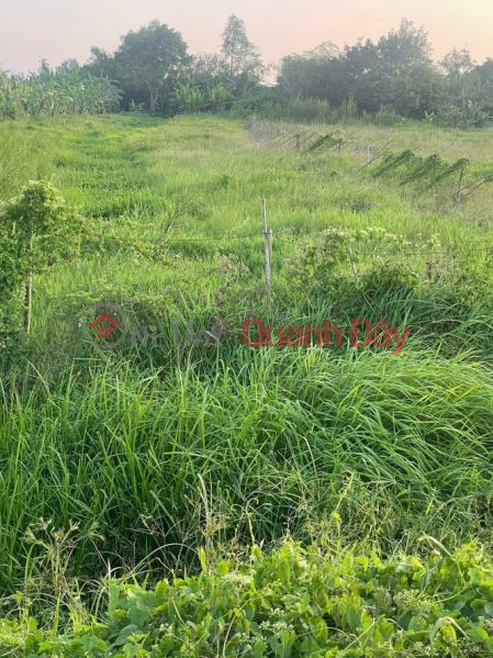 Property Search Vietnam | OneDay | Nhà ở Niêm yết bán, BÁN 3000M2 (15x200) - ĐẤT CÁI RĂNG, TP Cần Thơ - LỘ 91C 40m đang thi công - VIEW Sông gạch Ông Tiêm
