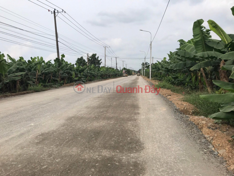 Property Search Vietnam | OneDay | Residential, Sales Listings Who needs to build a villa in District 9 if not buying here, then where?