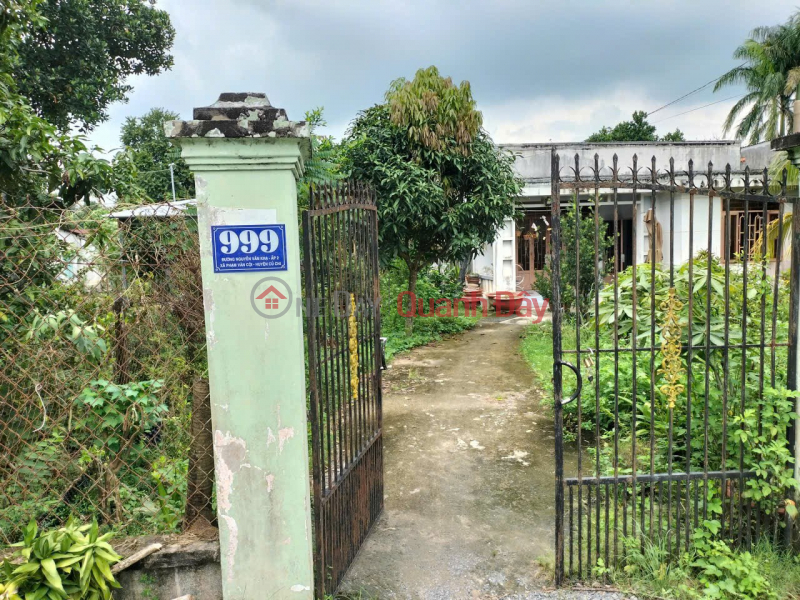 Owner's house address: 999 Nguyen Van Kha, Hamlet 2, Nhuan Duc Commune, Cu Chi, Ho Chi Minh City Sales Listings