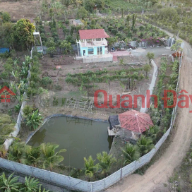 Selling garden house Ea NuoL Hoa Nam DakLak2000m for only 1.3 billion _0