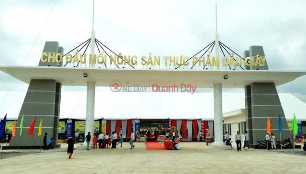 Sốt Dầu Giây! Đất Nền Sổ Hồng Riêng Full Thổ Cư – Giá Từ 19 Triệu/m² Niêm yết bán