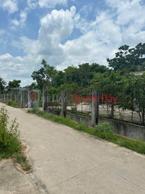 Land for Sale, 57 Meter Street Frontage, 98 Meter Depth, Village 3, Tan Ha Commune, Duc Linh, Binh Thuan, Price 13 Billion _0