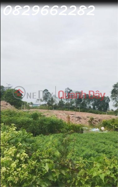 Property Search Vietnam | OneDay | Nhà ở, Niêm yết bán | Đất Mặt Tiền 100m2 (5x20) Ngay Làng Hoa Sa Đéc- Sổ Hồng- Chỉ 600 Triệu.