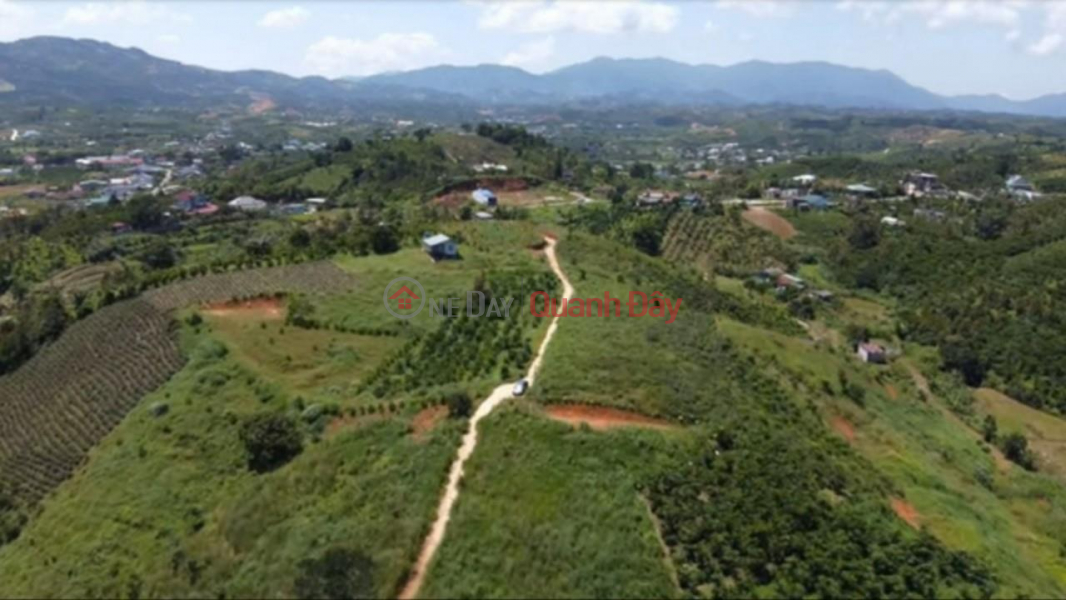 Beautiful Land - Good Price - Owner Needs to Sell Land Lot in Beautiful Location in Dai Lao Commune, Bao Loc Lam Dong Vietnam Sales đ 1.9 Billion