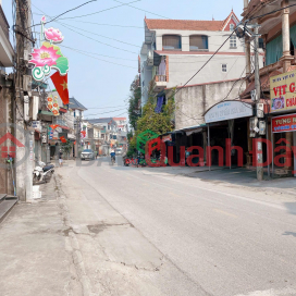 Selling 75m² on the main axis of Luc Canh Xuan, near Vinhomes Co Loa Project _0