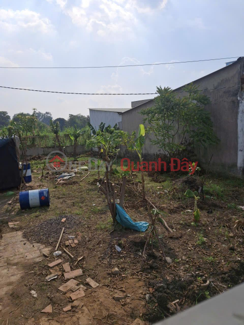 Đất HXM 277m2, Vuông – Bùi Công Trừng HM _0