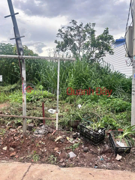 Bán 108m2 đất thị trấn Liên Nghĩa Đức Trọng Lâm Đồng Giá 1 tỷ 600 triệu | Việt Nam | Bán | đ 1,6 tỷ