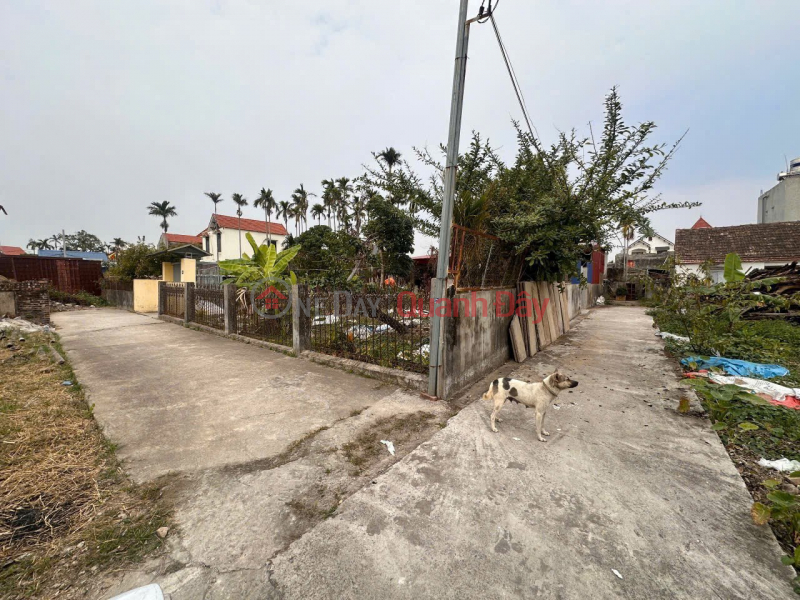 Property Search Vietnam | OneDay | Nhà ở, Niêm yết bán LÔ HIẾM 1,2XX TỶ – HOÀ NGHĨA DƯƠNG KINH – GẦN VINHOMES – LÔ CUỐI CÓ SÂN CỔNG RIÊNG – ZALO 0567 222 555