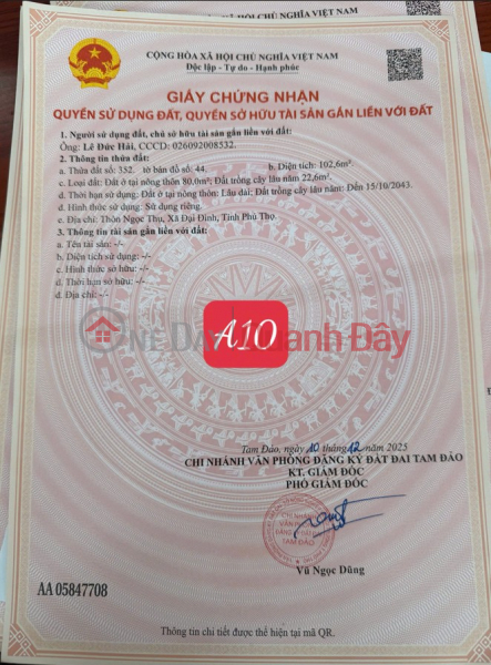 đ 490 triệu | Chính chủ cần tiền bán 2 ô F0 tại Ngọc Thụ - Đại Đình, Tam Đảo - Cơ hội x2 năm 2026 sắp đến