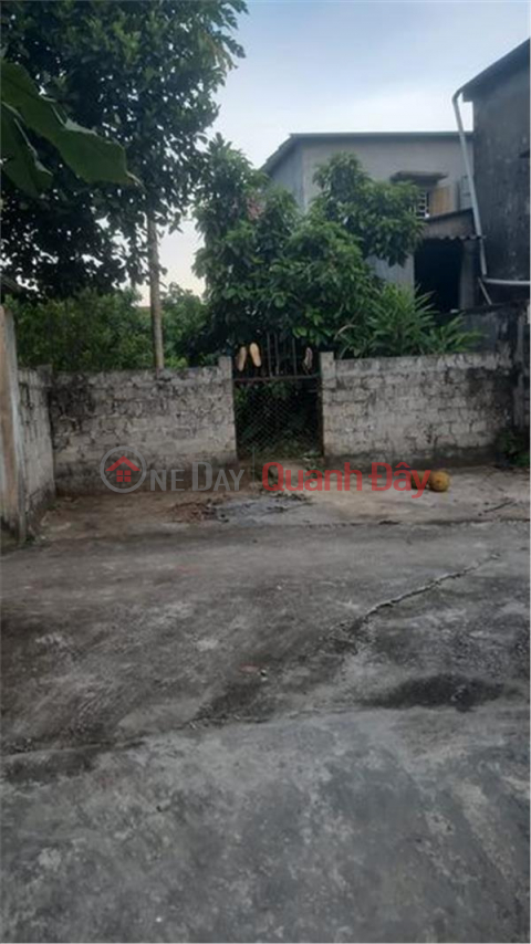 BEAUTIFUL LAND - GOOD PRICE - CHURCH FOR SALE CENTRAL LOT OF LAND Ha Son Commune, Ha Trung District, Thanh Hoa _0