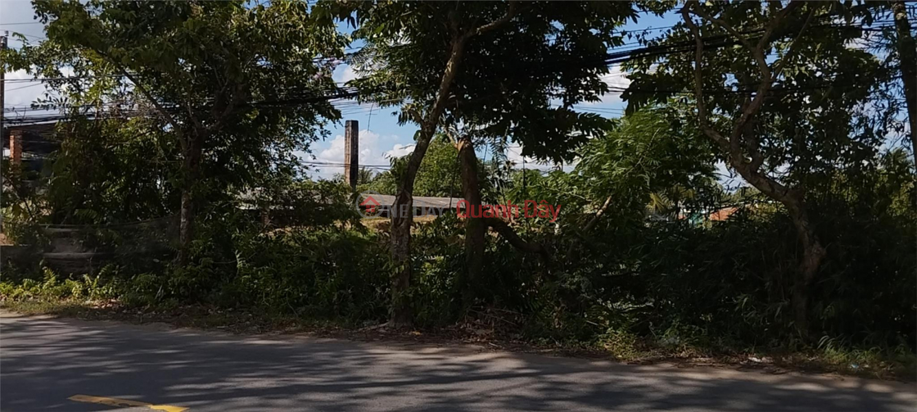 BEAUTIFUL LAND - GOOD PRICE - Land Lot For Sale Prime Location In Phu Hung - Ben Tre City Sales Listings