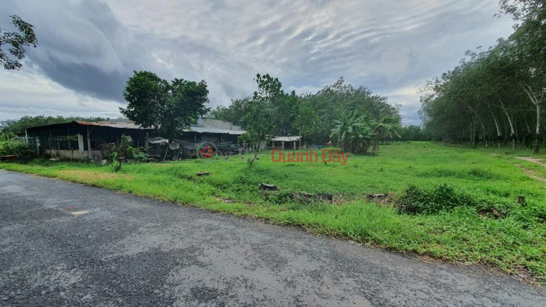 OWNER Sells Land, Beautiful Location In Don Thuan Commune, Trang Bang Town, Tay Ninh Province Sales Listings