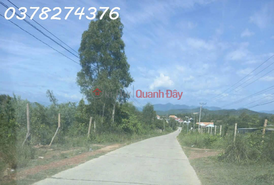Chính chủ cần bán đất nông nghiệp tại xã Tân Định, Khánh Hòa, DT 15.000m2, giá đầu tư Niêm yết bán