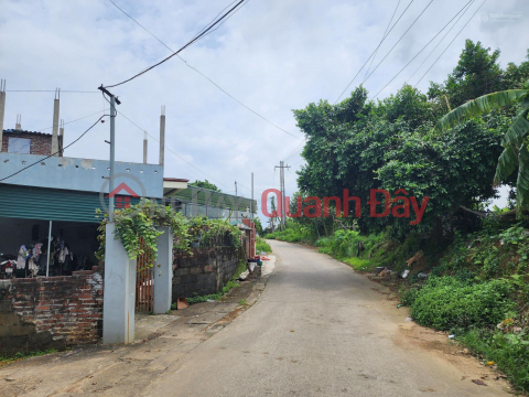 OWNER SELLING LAND WITH FULL RESIDENTIAL USE CERTIFICATE AND FULL AMENITIES, 12M FRONTAGE, UNIQUE LOCATION IN PHU CAT - QUOC OAI. _0