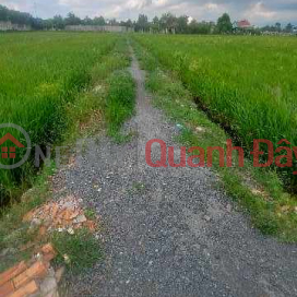 Beautiful rice field land adjacent to Ho Chi Minh City - Golden opportunity for real estate investors! _0