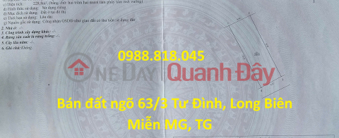 Chính chủ bán đất phân lô ngõ 63 Tư Đình, phường Long Biên, thành phố Hà Nội, 229m2, đường ô tô tránh, miễn TG _0