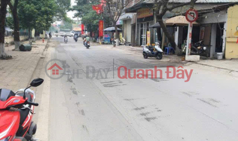 right on the alley, cars can go straight to Ngoc Hoi, 4.5 billion. Selling a 53m2 plot of land _0