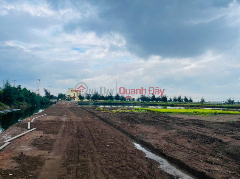 Đất nền Thị trấn Quất Lâm, Huyện Giao Thủy 1.6 tỷ – 100m² gần trường học, dân cư đông – Nguyễn Hùng BĐS -, Việt Nam Bán đ 1,6 tỷ
