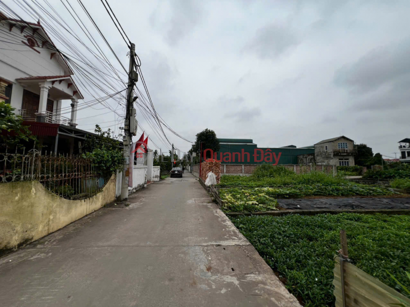 Beautiful land for sale in Thu Phu, Thuong Tin, Hanoi - Near DT427 - Convenient location for business and residential purposes. Sales Listings