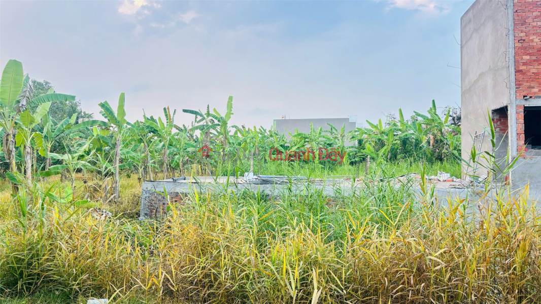 ĐẤT ĐẸP – GIÁ TỐT – CHÍNH CHỦ CẦN BÁN Tại Lốc C KHU DÂN CƯ ĐẠI LỘC PHÁT, Phường An Bình Niêm yết bán
