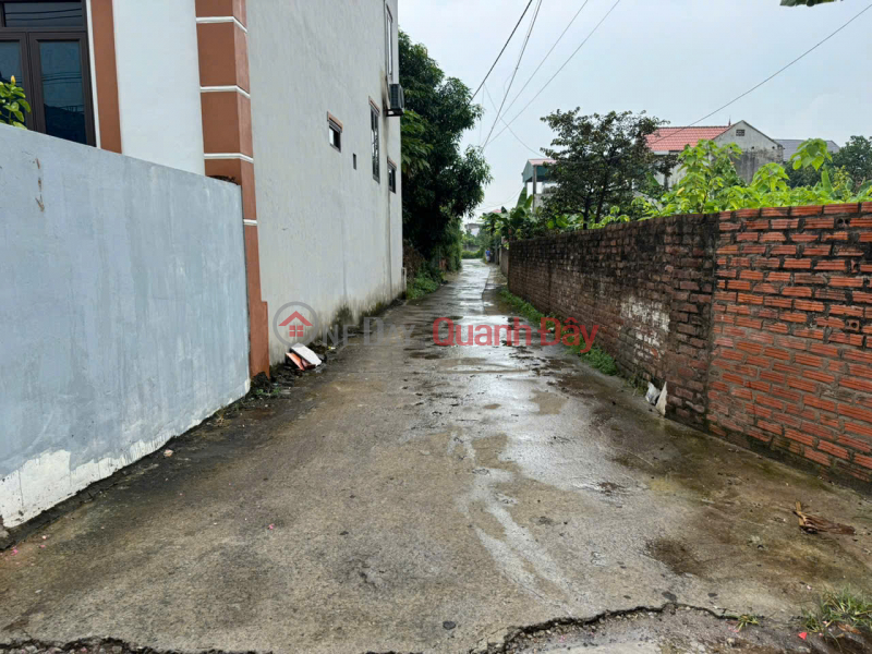 Bán 45m đất thôn Bạch Đa, Kim Hoa, Mê Linh. Gần KDT Kim Hoa, đón sóng đường vành đai 4 Niêm yết bán