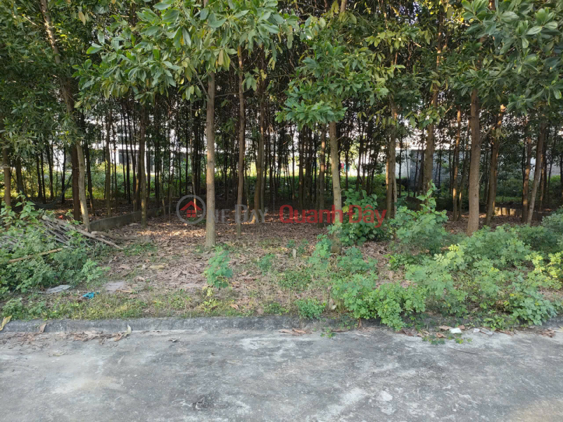 , Làm ơn chọn | Nhà ở Niêm yết bán | đ 13 triệu