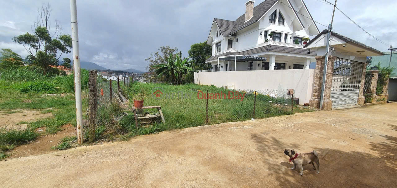 Property Search Vietnam | OneDay | Residential Sales Listings, LAND FOR SALE IN VILLA AREA NEAR CENTER OF NGO QUYEN WARD 6, DA LAT