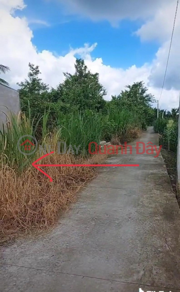 Property Search Vietnam | OneDay | Residential Sales Listings | BEAUTIFUL LAND - GOOD PRICE - LAND FOR SALE Prime Location In My Tho City, Tien Giang