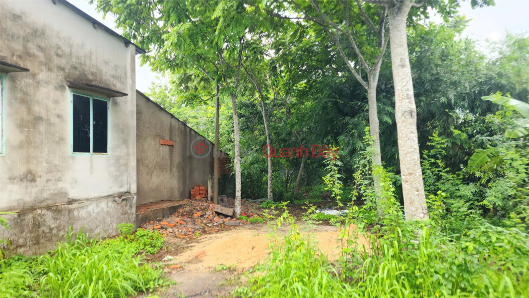 HOT HOT - CHÍNH CHỦ BÁN ĐẤT MẶT TIỀN HỐ BÒ –tại XÃ AN NHƠN TÂY, HUYỆN CỦ CHI, TP. HỒ CHÍ MINH Niêm yết bán