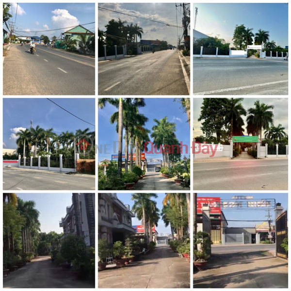 Picking Spring Locs - Land Plot Immediately - PRIMARY LAND IN THE CENTER OF Long Xuyen City - An Giang Sales Listings