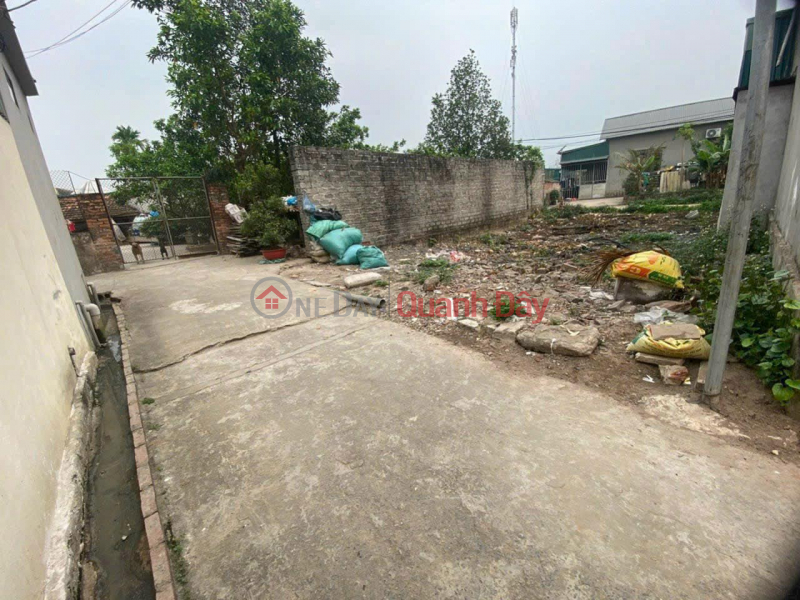 The owner needs to sell 55m2, only 1.x billion, in Dai Yen Chuong My, Hanoi, 2 sides with alley, car, Vietnam Sales | đ 1.39 Billion