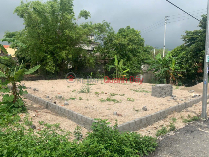 Owner Needs to Quickly Sell a Land Plot in a Beautiful Location - Good Price in Kim Bang District, Ha Nam Province | Vietnam, Sales | đ 2.5 Billion