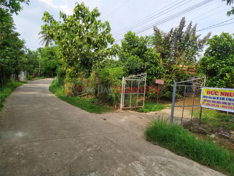 Property Search Vietnam | OneDay | Residential, Sales Listings OWNER Sells Land With Beautiful Location In Phu Thinh Commune, Tan Phu District, Dong Nai