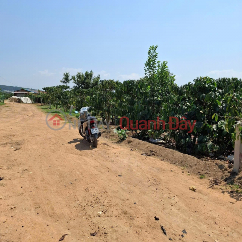 PRIME LOCATION – GOOD PRICE – OWNER SELLING HOUSE Phuc Hop Village, Phuc Tho Commune, Lam Ha District, Lam Dong Province _0