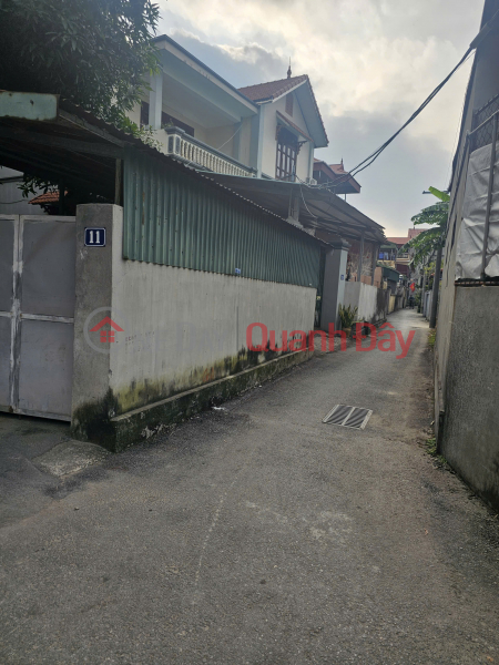 OWNER NEEDS TO SELL LAND IN DA TON - GIA LAM, PRICE SLIGHTLY OVER 4 BILLION VND, CONTACT 0985865658 | Vietnam Sales | đ 4.25 Billion