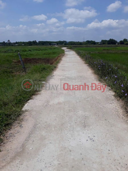 Property Search Vietnam | OneDay | Residential Sales Listings, PRIME LAND - GREAT PRICE - OWNER SELLING QUICKLY A POTENTIAL PLOT OF LAND IN CU CHI DISTRICT, HO CHI MINH CITY