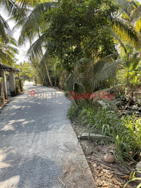 HOT HOT HOT!!! Cheap CLN Land For Sale In Luong Hoa Commune, Chau Thanh District, Tra Vinh _0