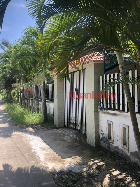 OWNER NEEDS TO SELL LAND LOT WITH FREE HOUSE IN Vang Quoi Dong Commune, Binh Dai District, Ben Tre Province Sales Listings