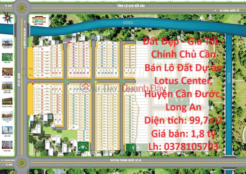 Beautiful Land - Good Price - Owner Needs to Sell Land Lot of Lotus Center Project, Can Duoc District, Long An Sales Listings
