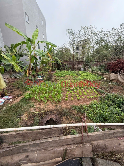 CHÍNH CHỦ CẦN BÁN LÔ ĐẤT 44,3M TẠI PHƯỢNG NGHĨA-PHỤNG CHÂU-CHƯƠNG MỸ-HÀ NỘI _0