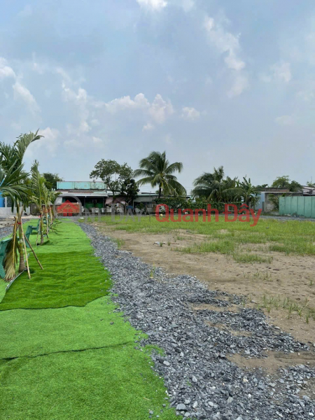 CHÍNH CHỦ CẦN BÁN LÔ ĐẤT Ngay QL50 Thị Trấn Cần Đước, Huyện Cần Đước, Long An Niêm yết bán