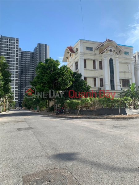 Selling land subdivided in 31Ha Trau Quy area, 246m², 13m frontage, asphalt road, sidewalk Sales Listings