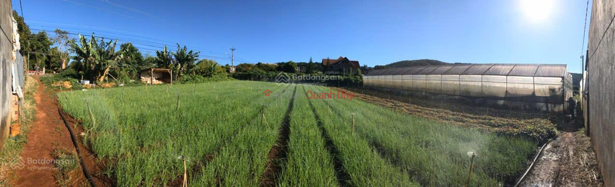 Property Search Vietnam | OneDay | Residential, Sales Listings | OWNER SELLING 12,829M2 LAND WITH TITLE DEED, FRONTAGE ON NATIONAL HIGHWAY 725, TA NUNG - GATEWAY TO TA NUNG