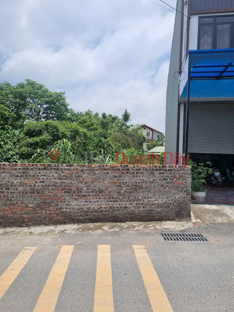 CHÍNH CHỦ CẦN BÁN LÔ ĐẤT TRỤC CHÍNH KINH DOANH 118M TẠI PHỤNG CHÂU-CHƯƠNG MỸ-HÀ NỘI _0