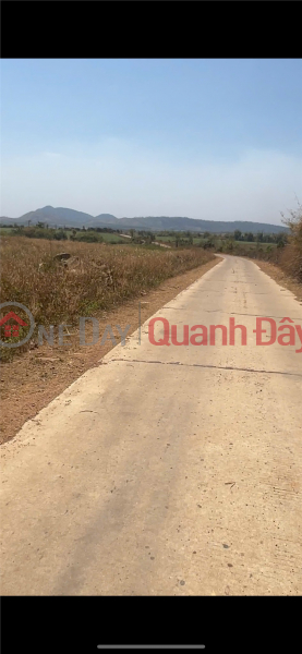 SỞ HỮU NGAY Lô Đất Huyện Ea Súp Đắk Lắk diện tích 30000 m² giá 2,5 tỷ Niêm yết bán
