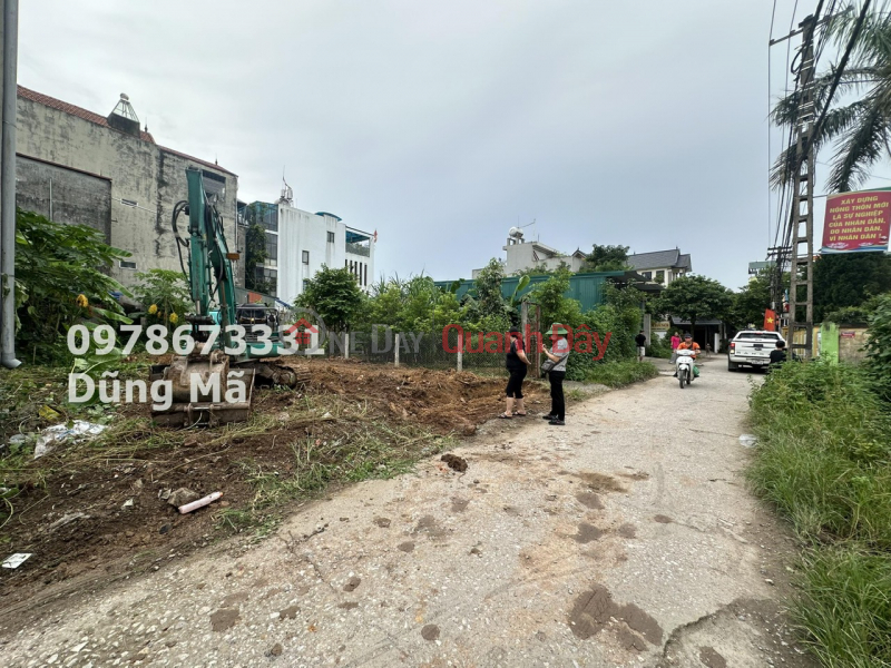 MAIN BUSINESS AXLE TL419 DAI YEN -CHUONG MY Sales Listings