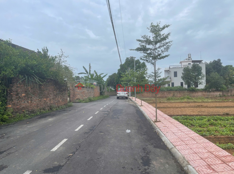 Property Search Vietnam | OneDay | Residential, Sales Listings Corner plot with two street frontages in Tien Chu - Trung Gia - Hanoi - Near National Highway 3 - Potential investment, ideal place to live.