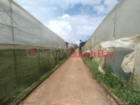 Land for sale in Van Thanh, Da Lat, more than half a sao, price 10 million\/m2 _0