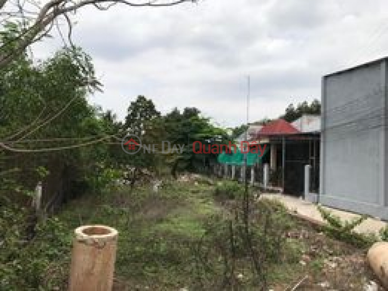 Property Search Vietnam | OneDay | Nhà ở | Niêm yết bán Bán đất 3MT Hùng Vương, Phước An 668m2 (8x56m) nở hậu 16,5m